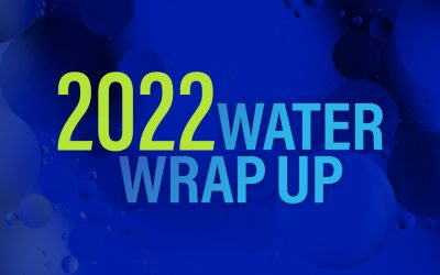 Water Headlines in 2022: What Made the Biggest Waves